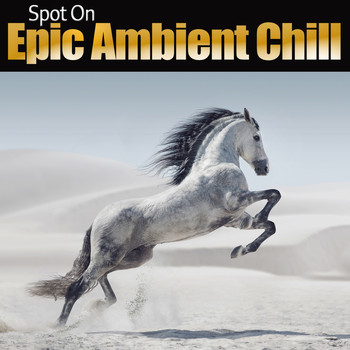 Various Artists - Spot On: Epic Ambient Chill