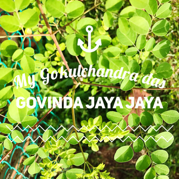 MY Gokulchandra das - Govinda Jaya Jaya