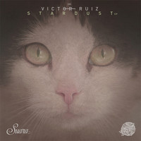 Victor Ruiz - Stardust