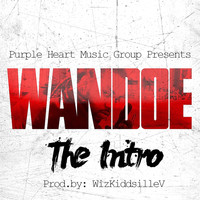 Wandoe - The Intro