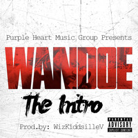 Wandoe - The Intro