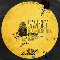 Sam Sky - Get Down