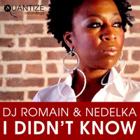 Dj Romain and Nedelka - I Didn't Know