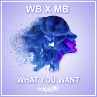 WB x MB - What You Want