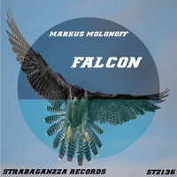 Markus Molonoff - Falcon