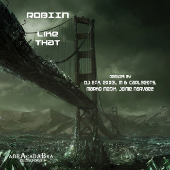 Robiin - Like That