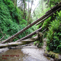 Joe Burns - Fallen Trees