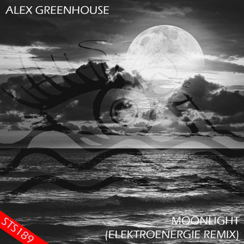 Alex Greenhouse - Moonlight (Elektroenergie Remix)