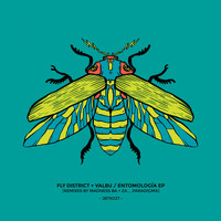 Fly District, Valbu - Entomologia EP