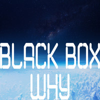 Black Box - Why