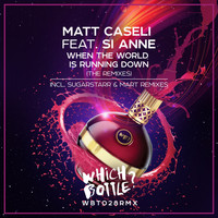 Matt Caseli feat. Si Anne - When The World Is Running Down (The Remixes)
