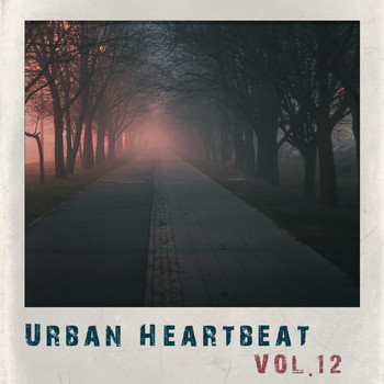 Various Artists - Urban Heartbeat,Vol.12