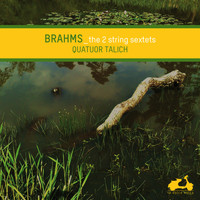 Talich Quartet - Brahms: The 2 String Sextets