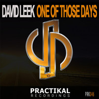 David Leek - One Of Those Days