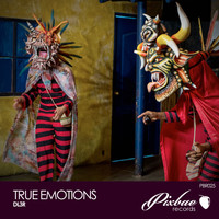 Dl3r - True Emotions