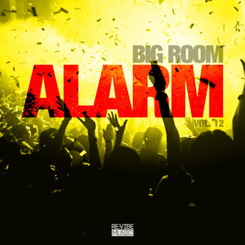 Various Artists - Big Room Alarm, Vol. 12