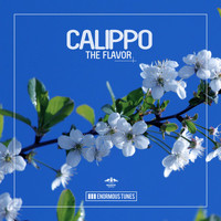 Calippo - The Flavor