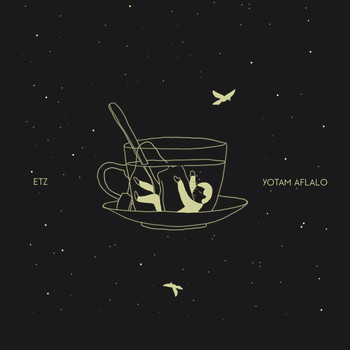 Yotam Aflalo - Modulation