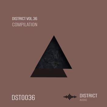 Various Artists - District 36
