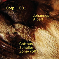 Johannes Albert - Cottbus