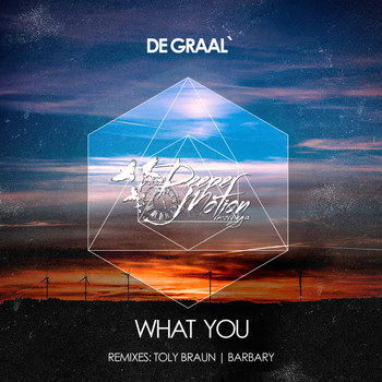 DE GRAAL' - What You