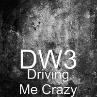 Dw3 - Driving Me Crazy