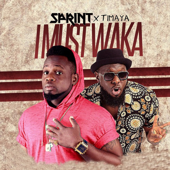 Timaya - I Must Waka (feat. Timaya)