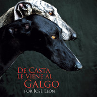Jose Leon - De Casta Le Viene al Galgo