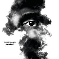 Sam Paganini - Zenith