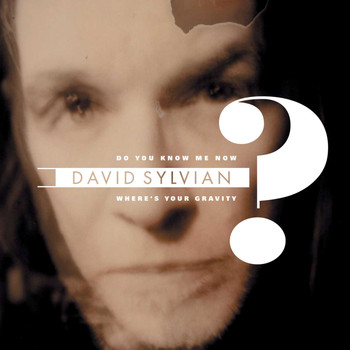 David Sylvian - Do You Know Me Now?