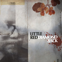 Little Red - Diamond Back