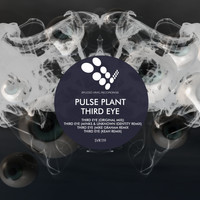 Pulse Plant - Third Eye