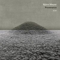 Björn Meyer - Provenance