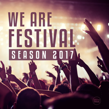 Various Artists - We Are Festival. Vol. 1 (Hymn From The Festivals 2017)