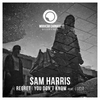 Sam Harris - Regret / You Don't Know feat. Lucia