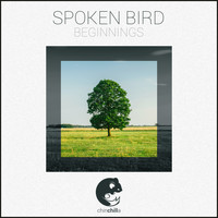 Spoken Bird - Beginnings