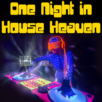 Various Artists - One Night in House Heaven
