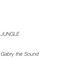 Gabry the Sound - The End (Rock Jungle Mix)