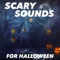 Wildlife - Scary Sounds For Halloween