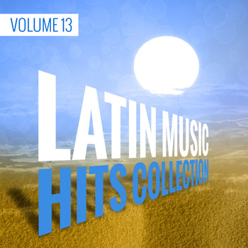Dj in the Night - Latin Music Hits Collection, Vol. 13