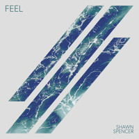 Shawn Spencer - Feel