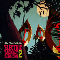 New Cool Collective - Electric Monkey Sessions 2