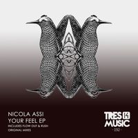 Nicola Assi - Your Feel