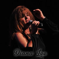 Diana Lee - The Joke's On You