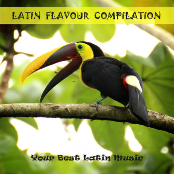Various Artists - Latin Flavour Compilation: Your Best Latin Music