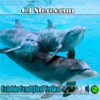 Cj Stereogun - Dolphin Pond (First Version)