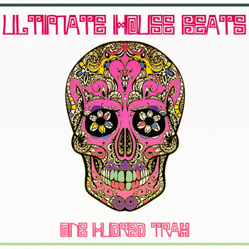 Various Artists - Ultimate House Beats (100 Trax Edition)
