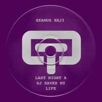 Seamus Haji - Last Night a DJ Saved My Life