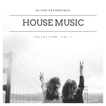 Various Artists - SLiVER Recordings - House Music Collection, Vol.1