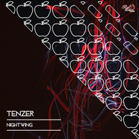 Tenzer - Nightwing